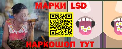 тгк Новодвинск