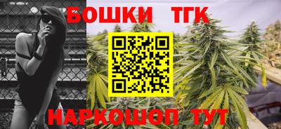 тгк Новодвинск