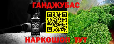 тгк Новодвинск