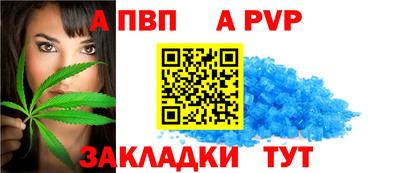 тгк Новодвинск