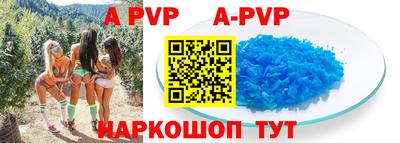 тгк Новодвинск