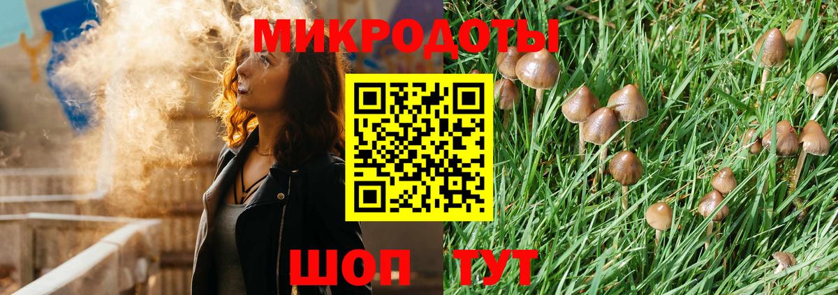 Псилоцибиновые грибы мухоморы  Вход с VPN  Славгород  Галлюциногенные грибы GOLDEN TEACHER 